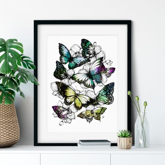 Butterfly Illustration