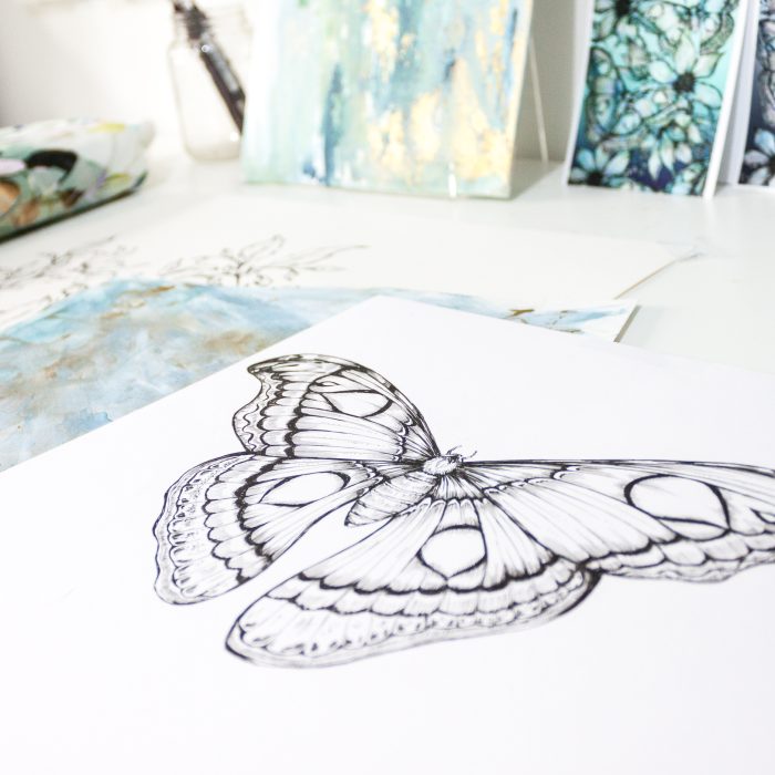 Moth drawing close up- Jessica Wilde