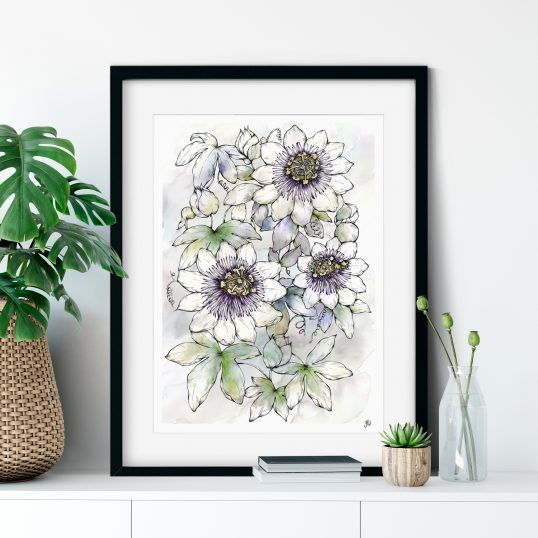 Passion Flower Illustration