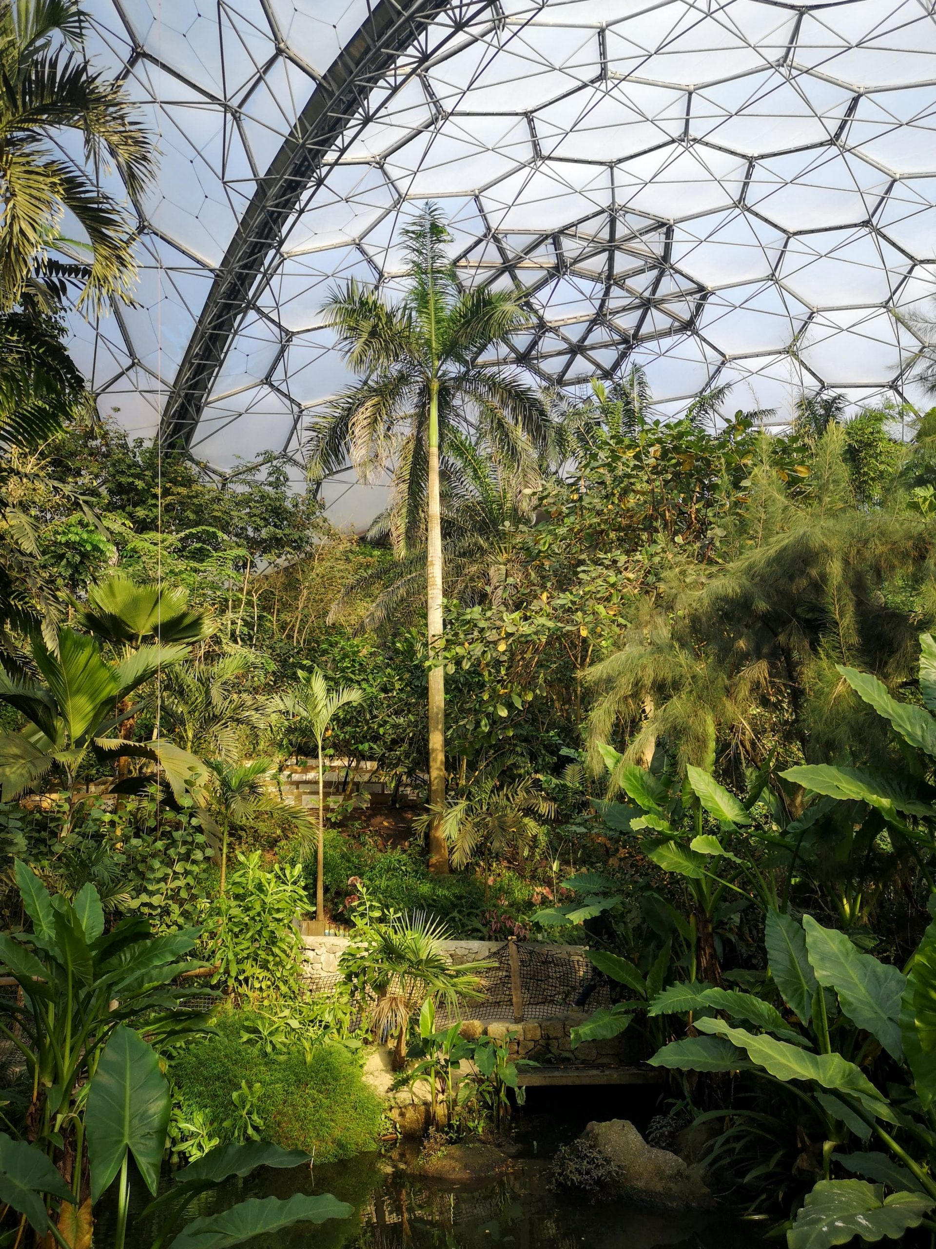 Eden Project | Cornwall | Jessica Wilde Design