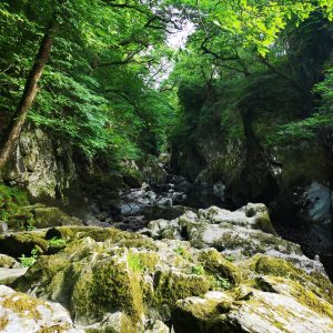 Fairy Glen Wales